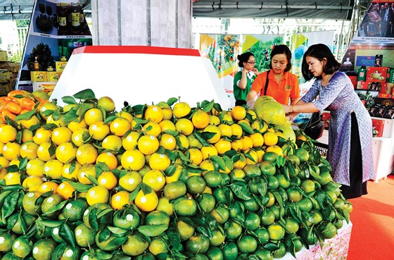 Regional specialties on show in Ho Chi Minh city