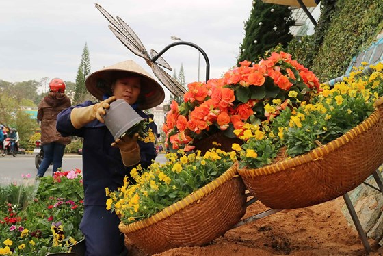 Da Lat city ready for flower festival