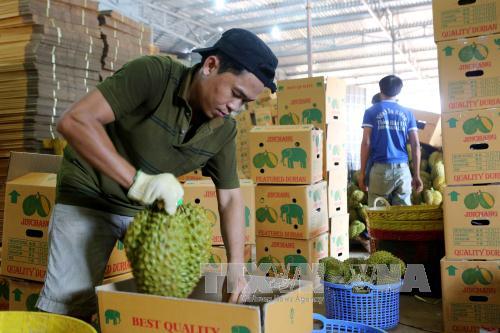 Investment in Central Highlands doubles