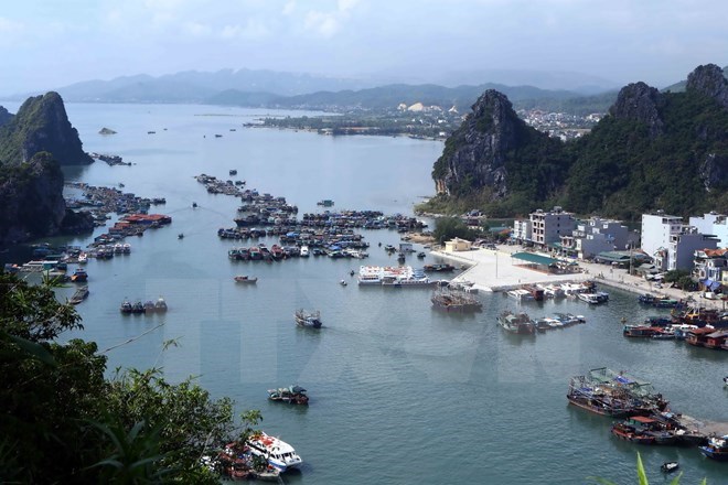 Quang Ninh needs special administrative-economic unit