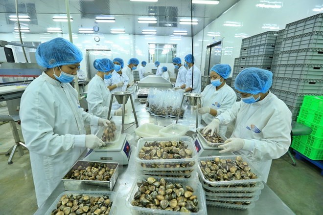 Agro-forestry-aquatic export hits USD36 3 billion in 2017