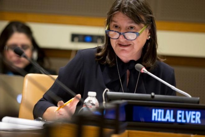 Viet Nam must protect right to food amid rapid industrialization - UN human rights expert