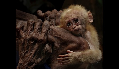 Two Vietnamese photographers win international prizes in Turkey
