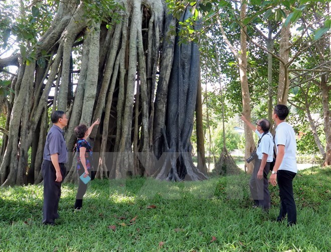 PM approves plan to develop Tan Trao tourism site