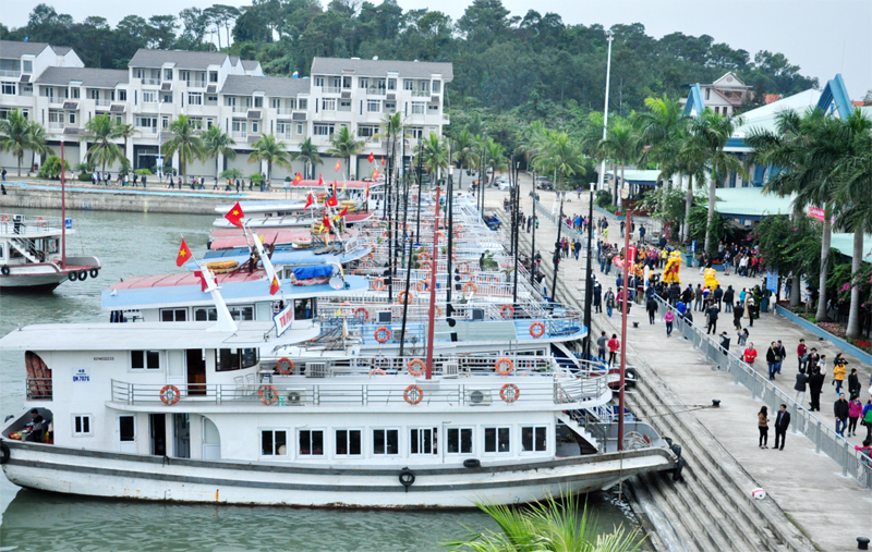 Programs for National Tourism Year 2018 issued