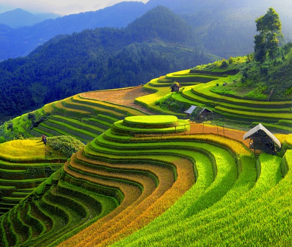 Mu Cang Chai named as worthy visit by US travel site