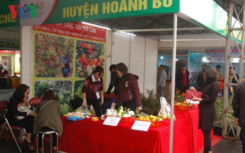 Vietnam-China tourism, trade fair greets over 30,000 visitors