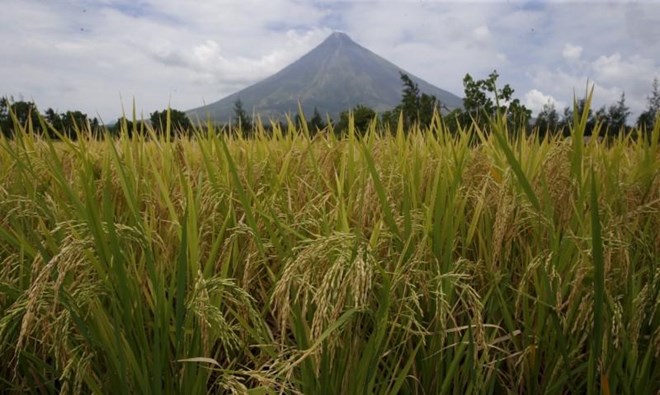 Philippines raises volcano alert level