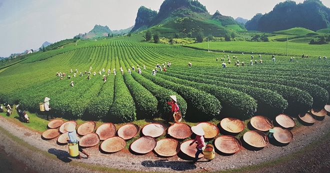 Exhibition on Vietnamese land and people