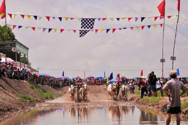 Mekong Delta welcomes more than 22 million tourists in 2017