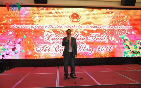 Overseas Vietnamese in Guangxi welcome Lunar New Year Festival