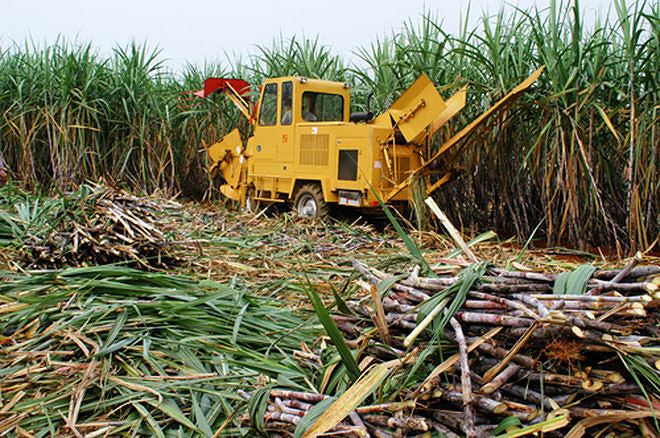 Agricultural ministry speeds up privatization of enterprises