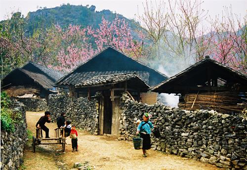 Dong Van Karst Plateau Global Geopark A must-visit destination