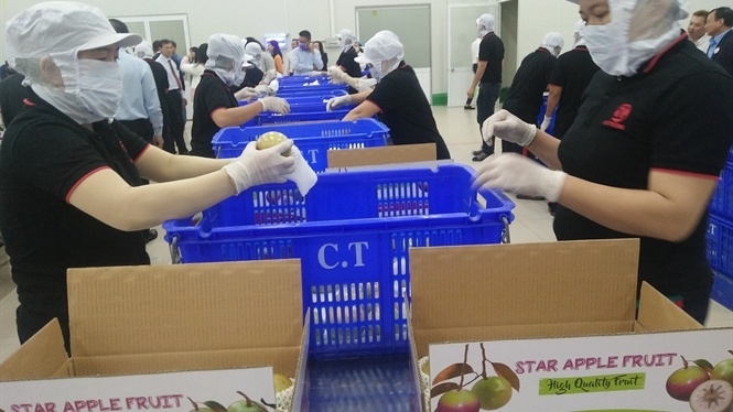 USDA s animal and plant health inspection service office opens in Vietnam