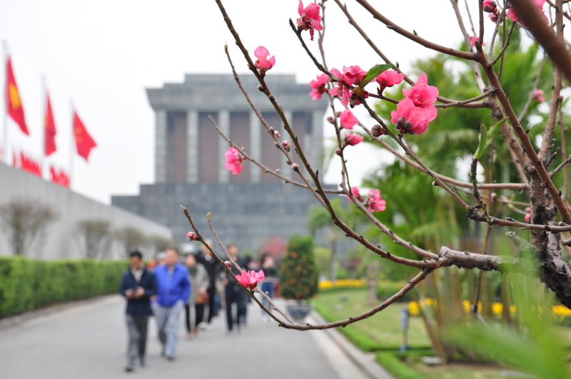 Spring colours around President Ho Chi Minh’s Mausoleum