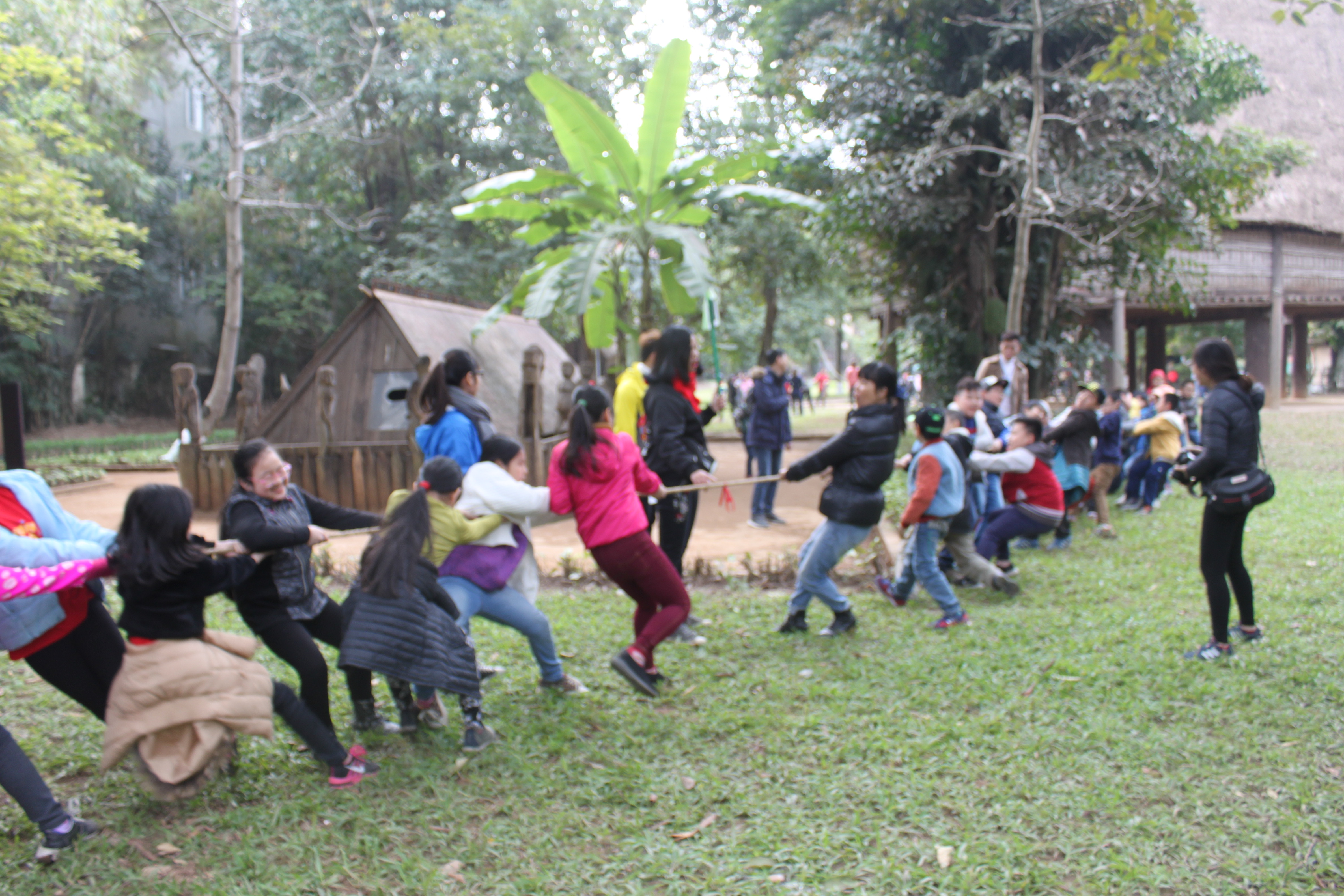 Diverse folk games of traditional Tet
