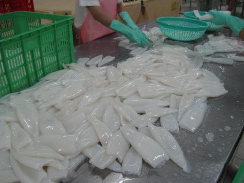 Vietnam’s squid and octopus exports to US surge