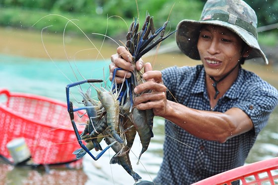Dong Nai invests over VND226 billion in hi-tech aquaculture area