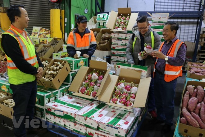 Vietnam-Australia trade gains speed in early 2018