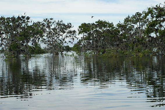 ADB increases its climate financing for Asia and Pacific region