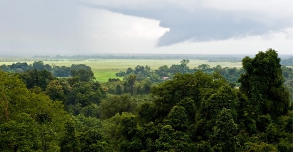 Laos signs Asian Forest Cooperation Organisation agreement