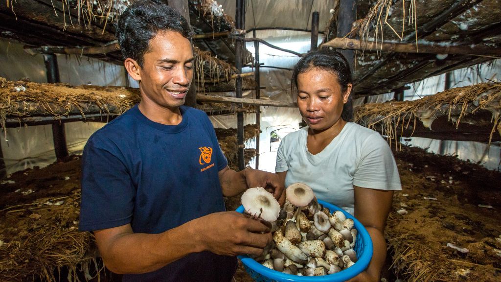ADB expands the scope of its supply chain finance program