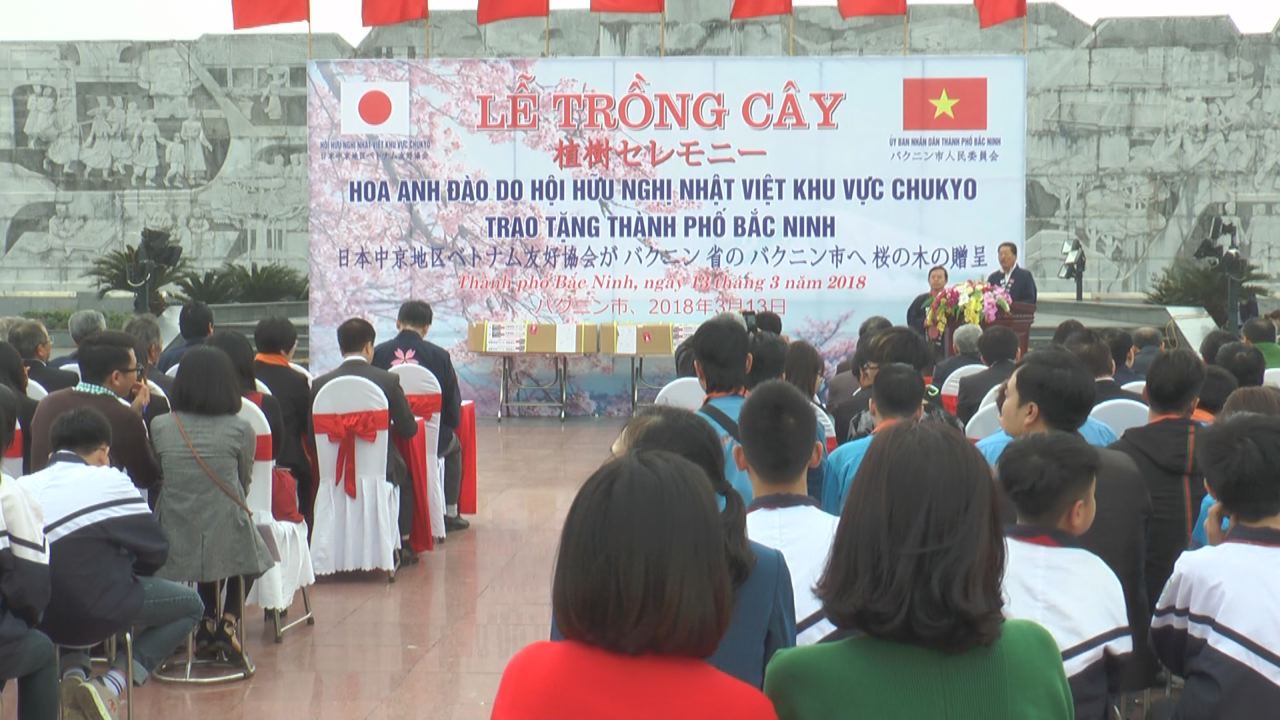 200 Japanese cherry trees planted in Bac Ninh province