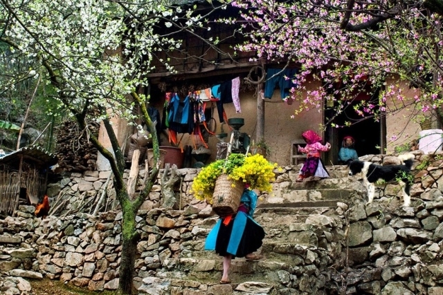 Attractive destinations in Sapa