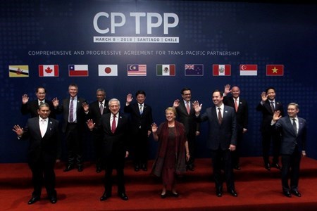 CPTPP expected to boost Vietnam-Chile economic ties
