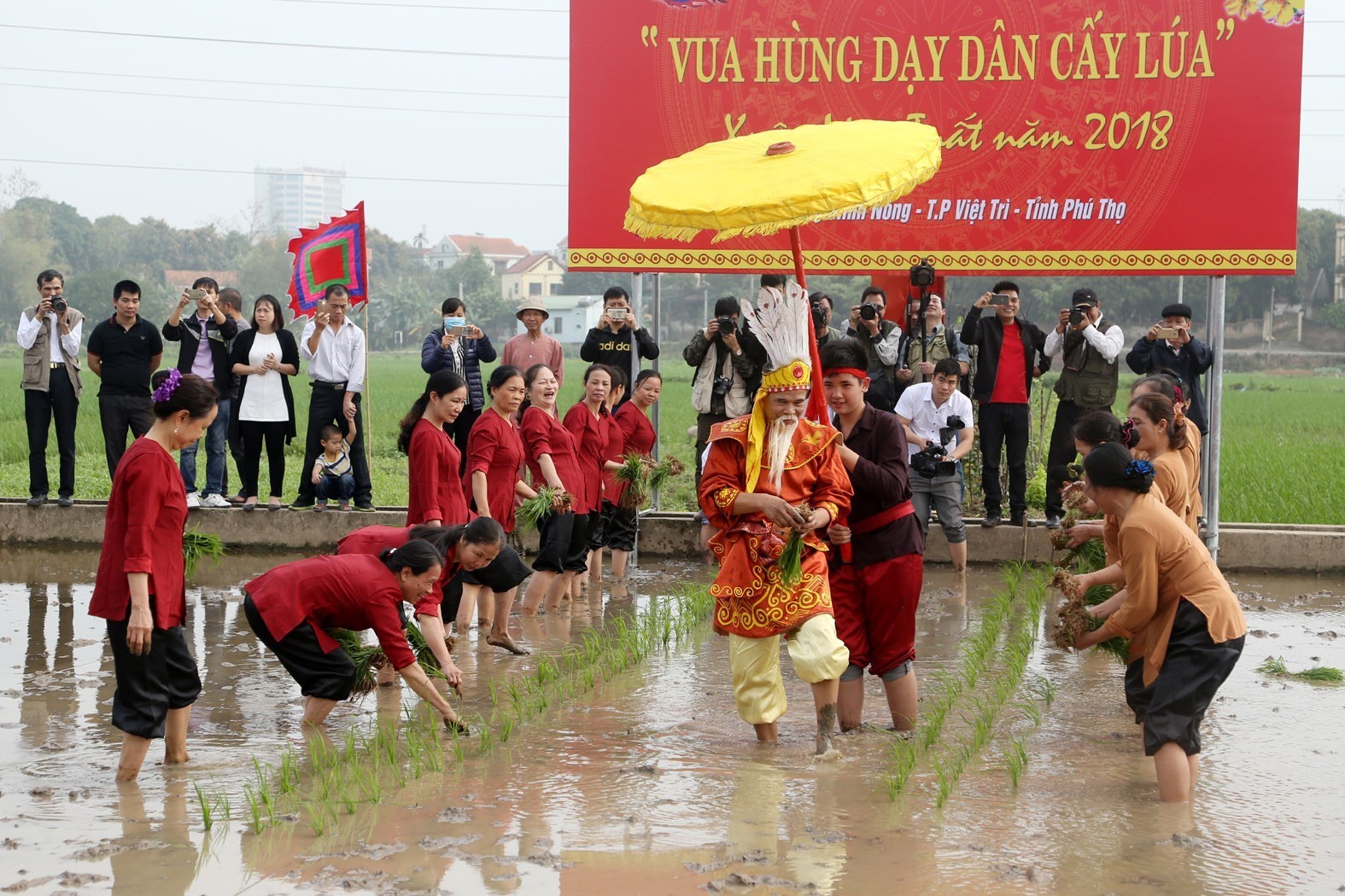 Festival commemorates Hung Kings’ teaching of rice cultivation