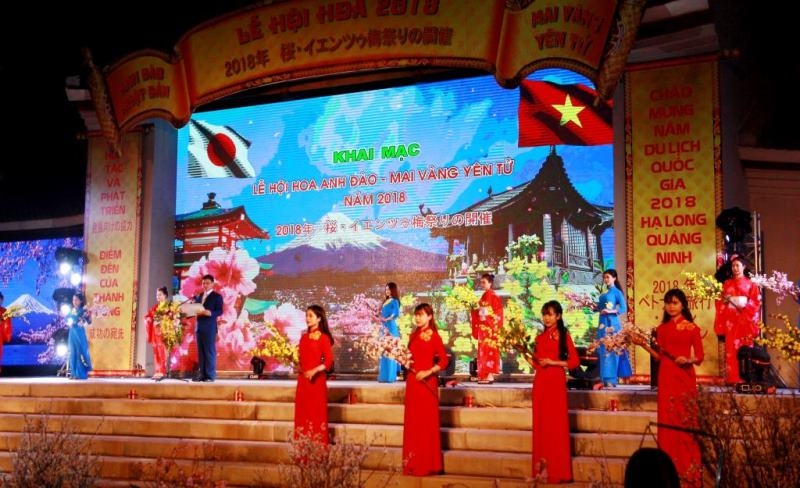 Quang Ninh opens Yen Tu Cherry Blossom and Yellow Apricot Flower Festival 2018