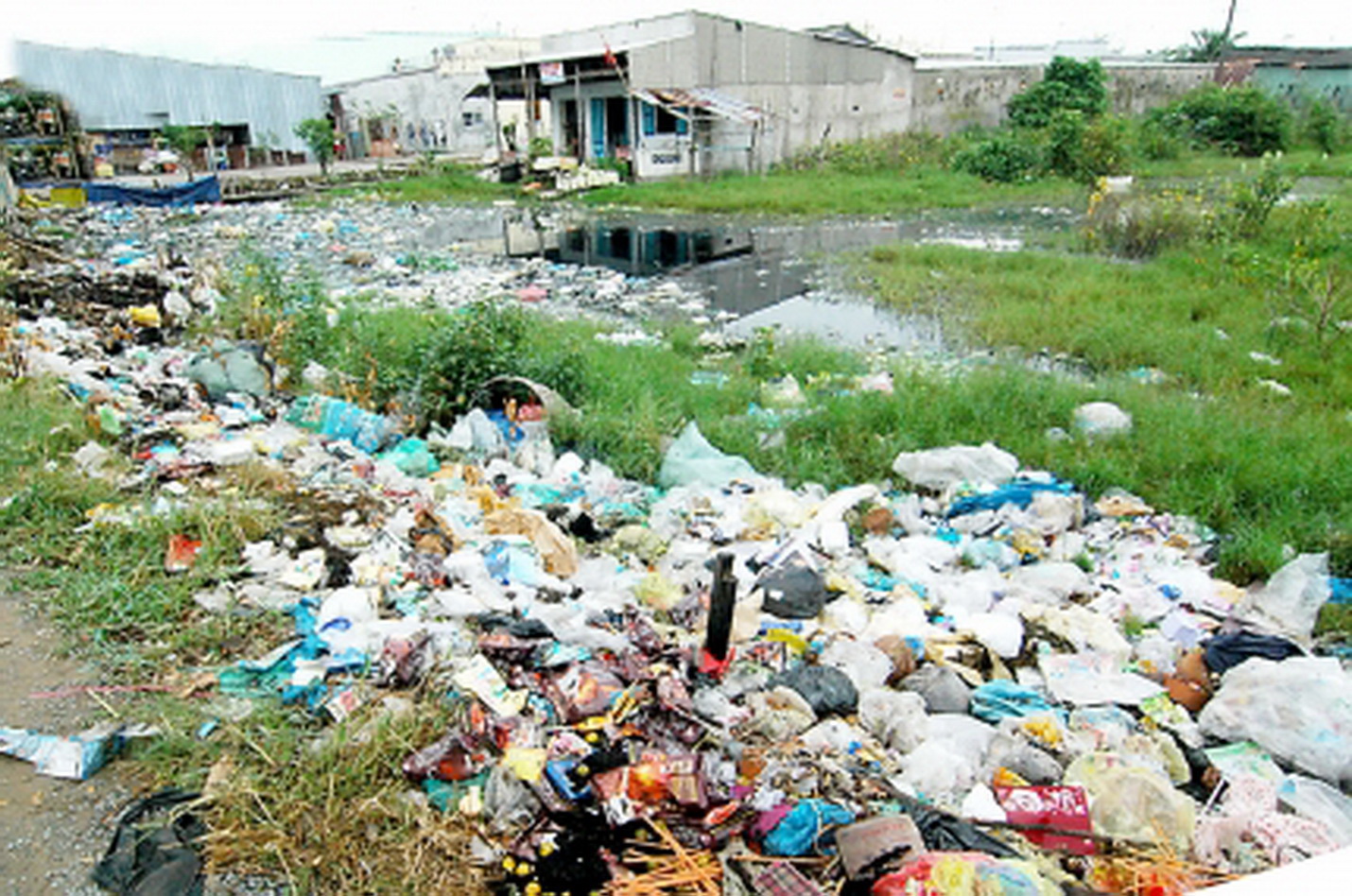 Cleaner, safer agriculture is gate way to sustainable development