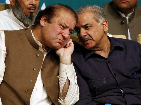 Shehbaz Sharif appointed PML-N Acting President