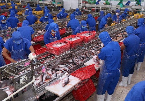 US’s antidumping duty ruling lacks legal basis VASEP