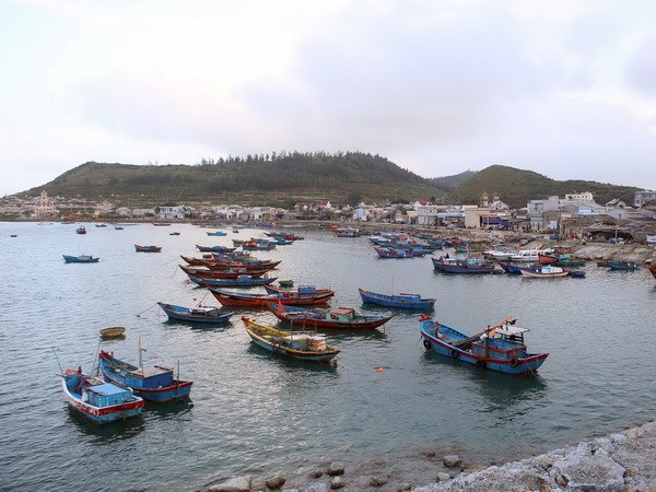Vietnamese boats’ overseas illegal fishing down significantly