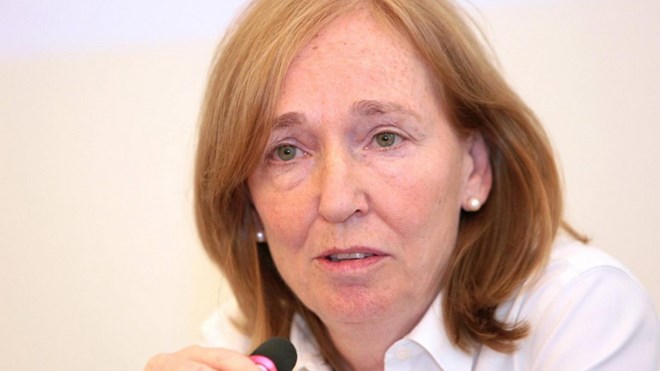 German appoints new ambassadors to countries