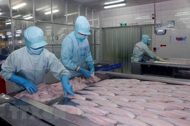 Ministry urges US to study Vietnamese tra fish market