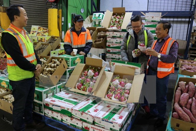 Vietnam’s fruit, vegetable exports up 33 4 percent in Q1