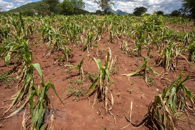 Cape Town hosts Africa’s first Adaptation Futures