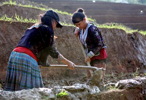 Lai Chau province opens irrigation for crop season