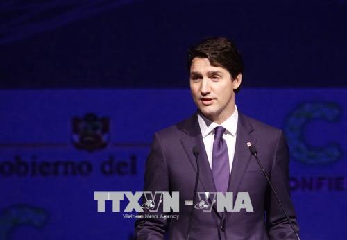 Canadian Prime Minister nominates acting chief electoral officer