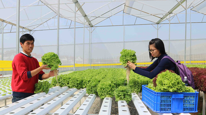 VND200 billion to support start-up businesses in rural areas