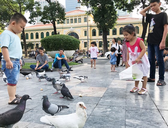 Weekend entertainment destinations in Ho Chi Minh city