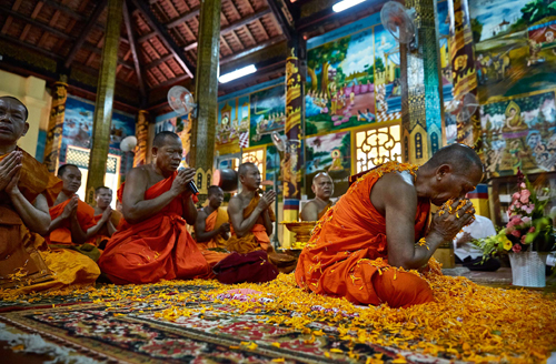 Photo book on Vietnam pagodas by French reporter Nicolas Cornet