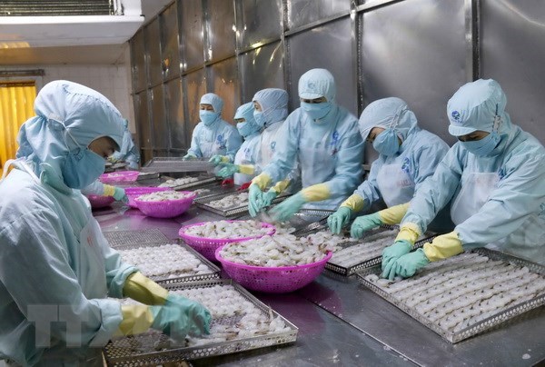 An Giang earns USD388 3 million from exports in H1