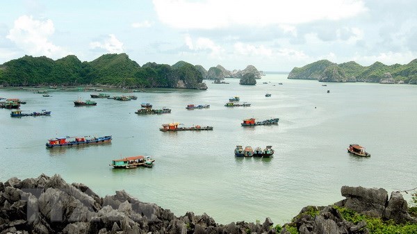 Hai Phong Tourist arrivals surge 19 9 percent in seven months