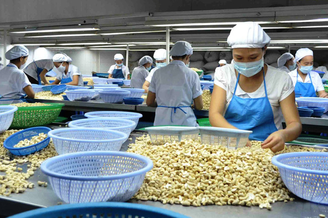 Ministry chooses 225 prestigious exporters