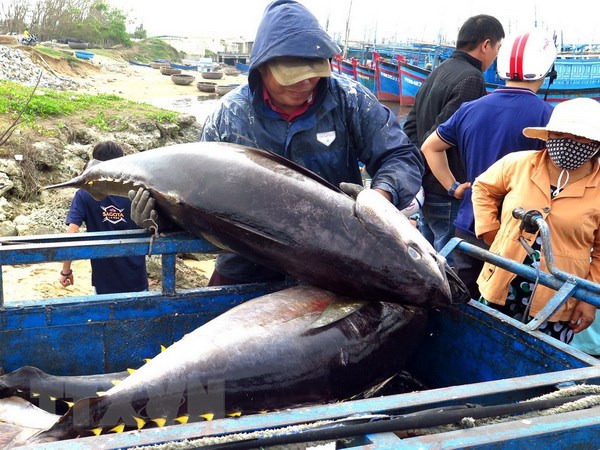 Drastic solutions taken to address EC’s warning of IUU fishing