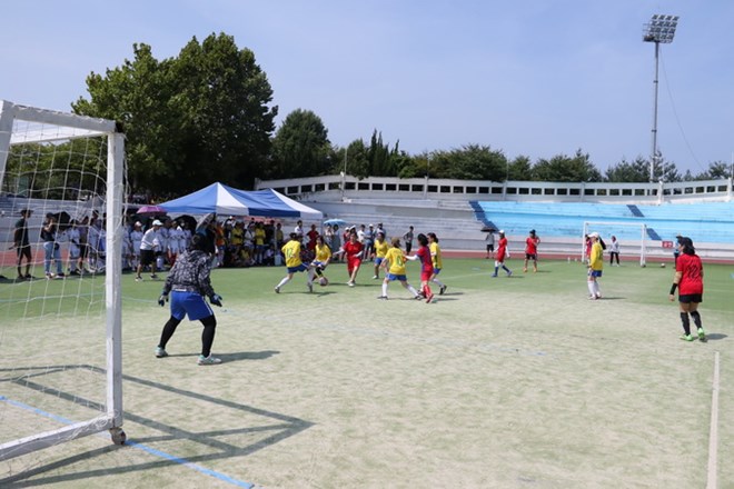 Sport festival for Vietnamese students in RoK