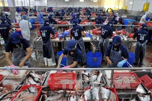 Seafood exports fetch USD4 63 billion in seven months